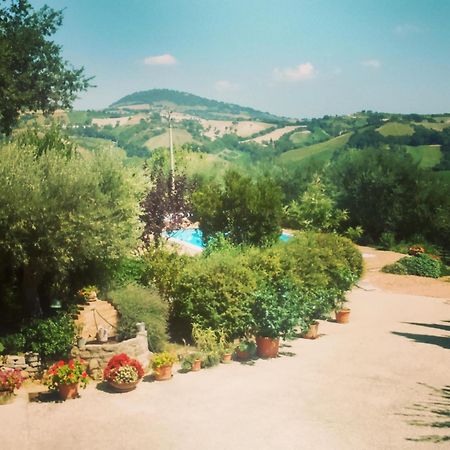 Casale Il Cerqueto Bed and Breakfast San Severino Marche Habitación foto