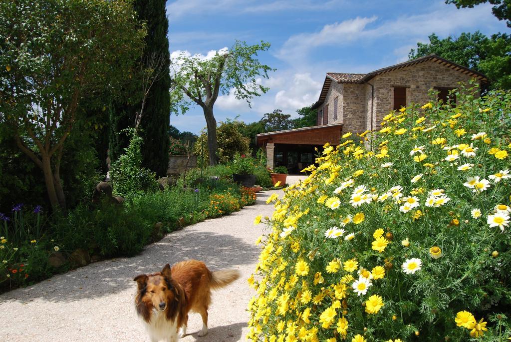 Casale Il Cerqueto Bed and Breakfast San Severino Marche Exterior foto