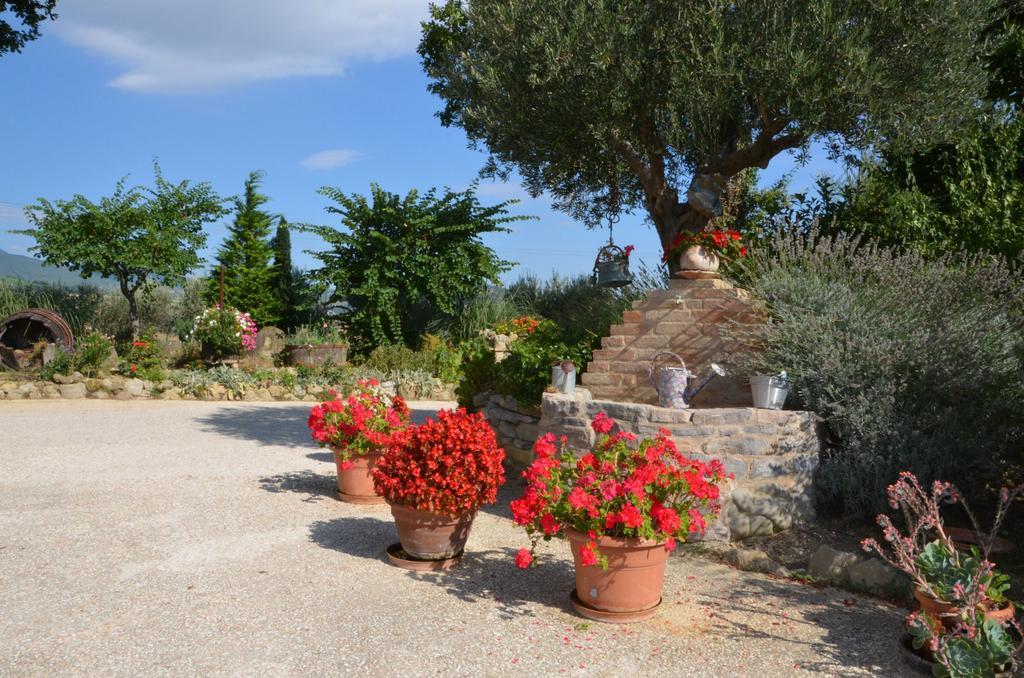 Casale Il Cerqueto Bed and Breakfast San Severino Marche Exterior foto