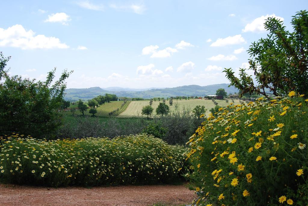 Casale Il Cerqueto Bed and Breakfast San Severino Marche Exterior foto