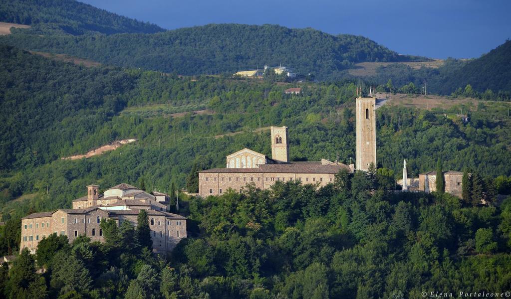 Casale Il Cerqueto Bed and Breakfast San Severino Marche Exterior foto