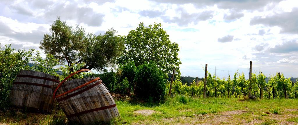 Casale Il Cerqueto Bed and Breakfast San Severino Marche Exterior foto