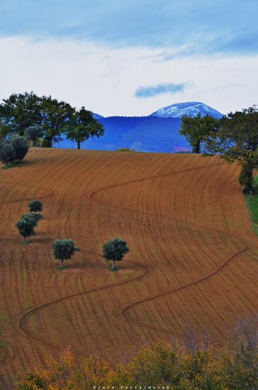 Casale Il Cerqueto Bed and Breakfast San Severino Marche Exterior foto