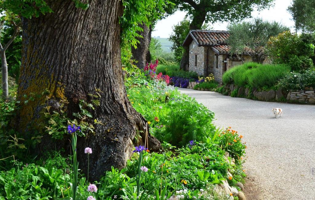 Casale Il Cerqueto Bed and Breakfast San Severino Marche Exterior foto